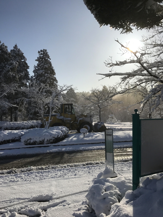 雪景色・成田メモリアルパーク