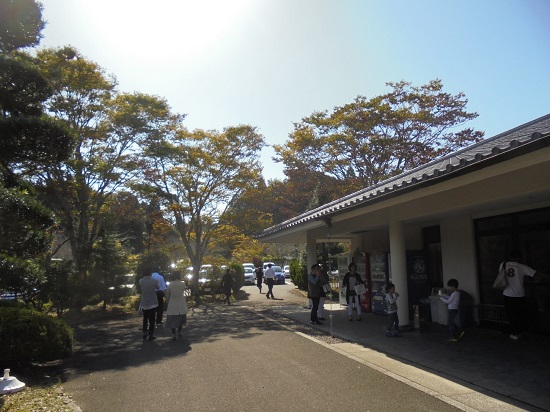 秋の成田メモリアルパーク