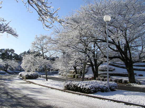 成田メモリアルパークの雪景色