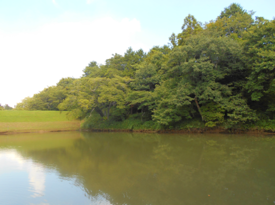 「秋彼岸会」お申し込みは8月31日土曜まで