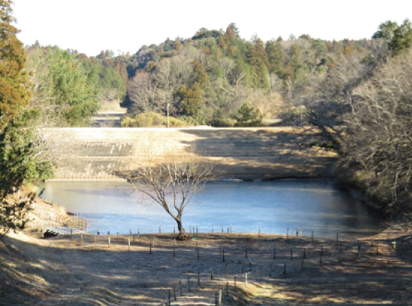 季の池が全面凍結しました