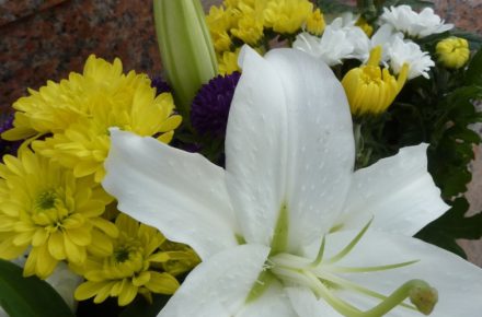 ８月の献花